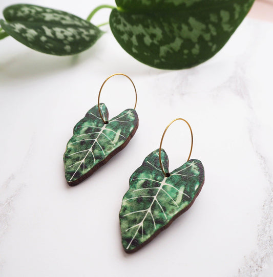 Alocasia Plant Hoop Earrings