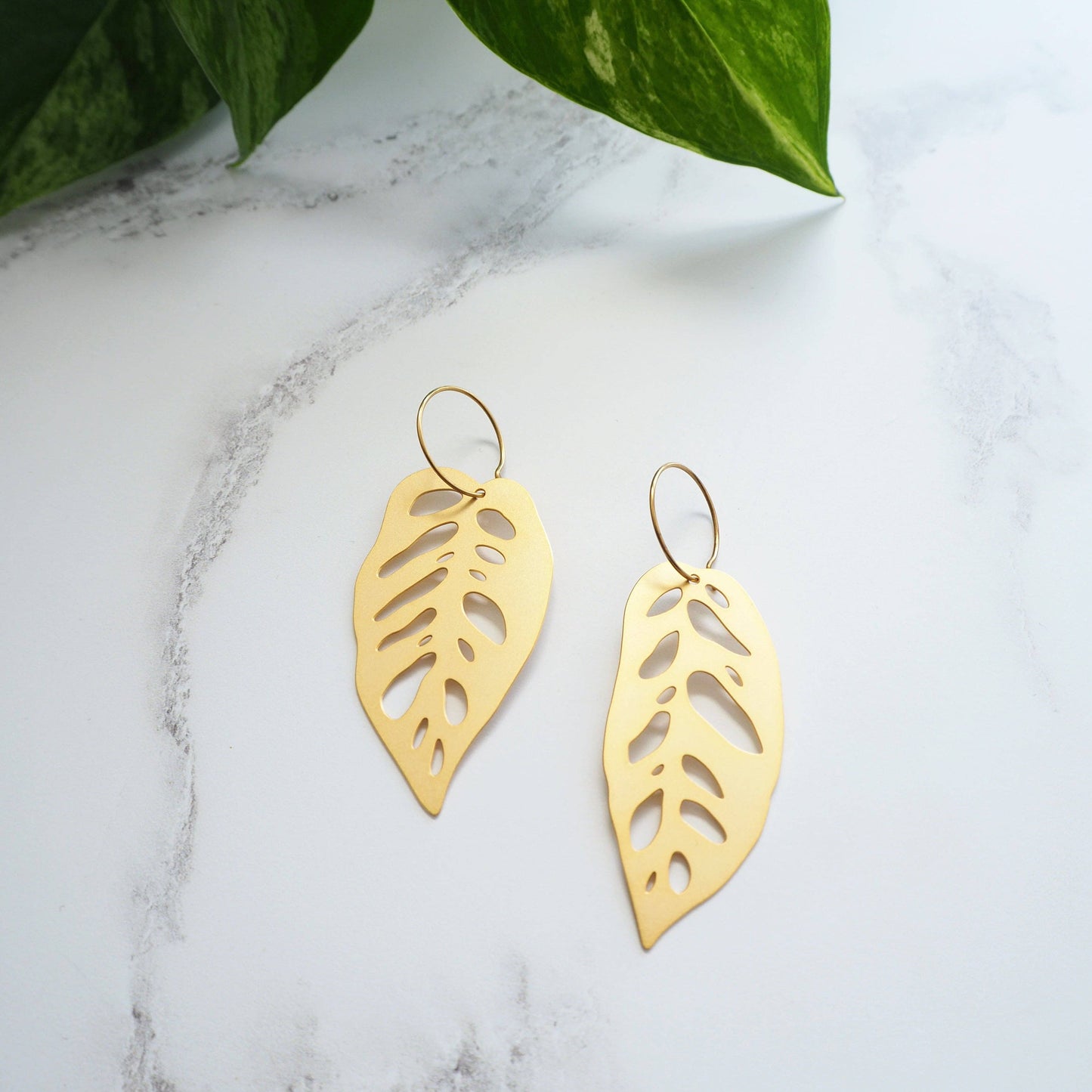 Gold Monstera Obliqua Hoop Earrings